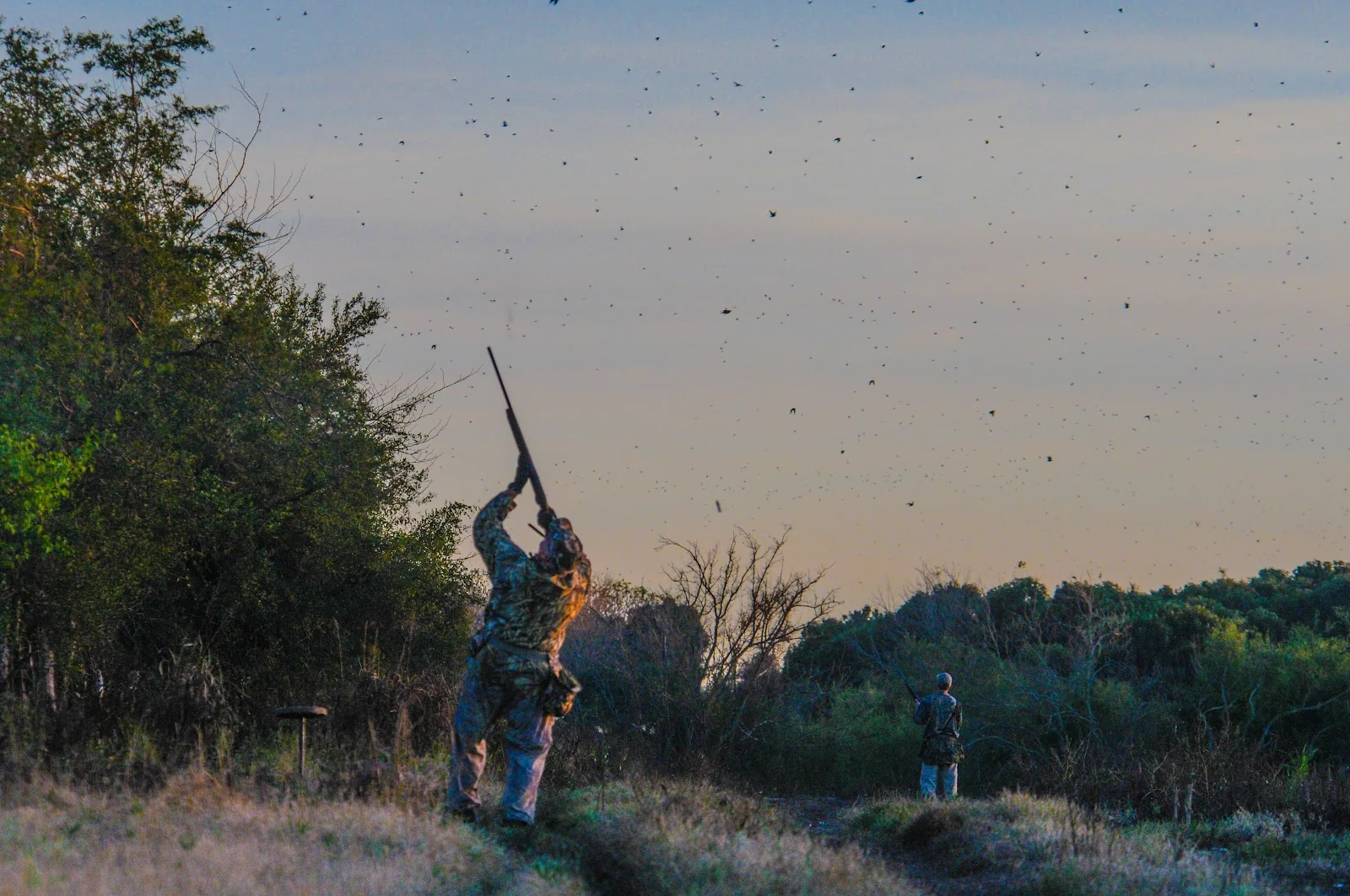 Perdiz hunting fields in Entre Ríos, Argentina